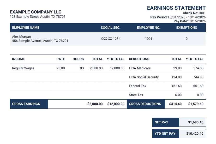Bank Style pay stub sample